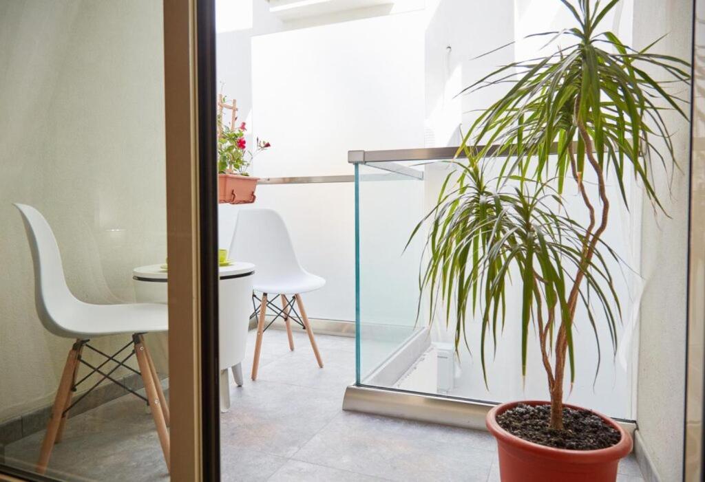 Năvodari Lemon Bite Studio Stefan Building מראה חיצוני תמונה